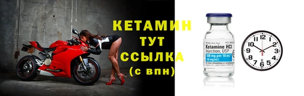 трава Елизово