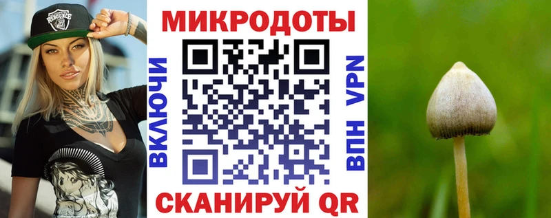 Галлюциногенные грибы ЛСД  Дубовка 
